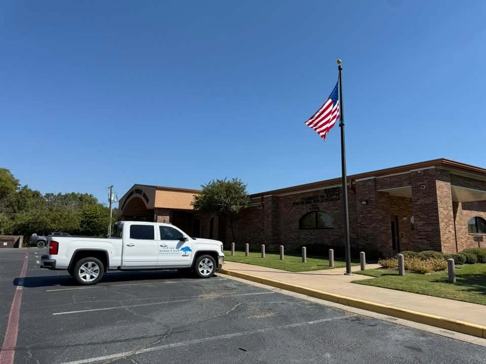 The Hidden Dangers of DIY Pest Sprays in Your Home